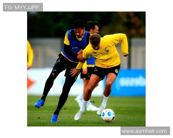 意甲焦点战：拜仁绝杀多特蒙德引发转会热议与全场欢呼