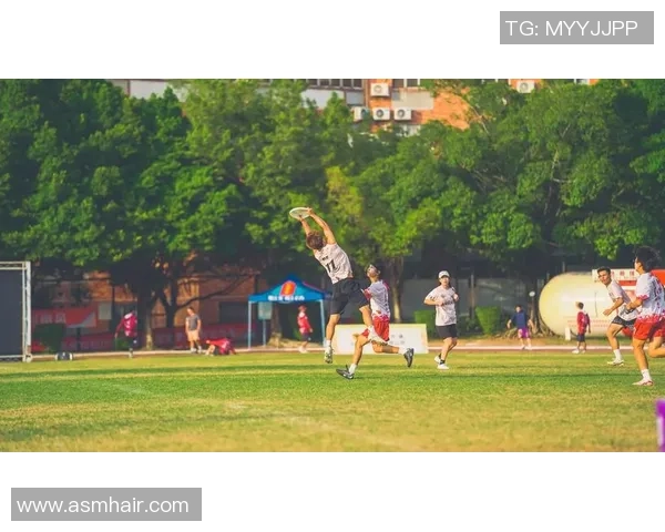 赛后分析：北京飞盘队与武汉飞盘队的战术对决与启示