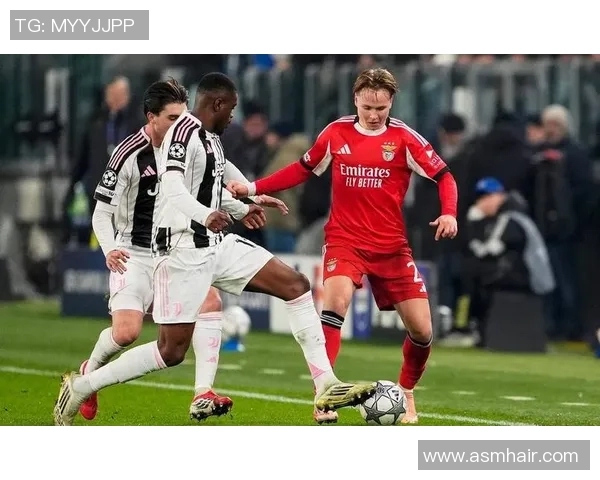 中超激战：本菲卡与多特蒙德鏖战至平局补时进球引发全场狂欢